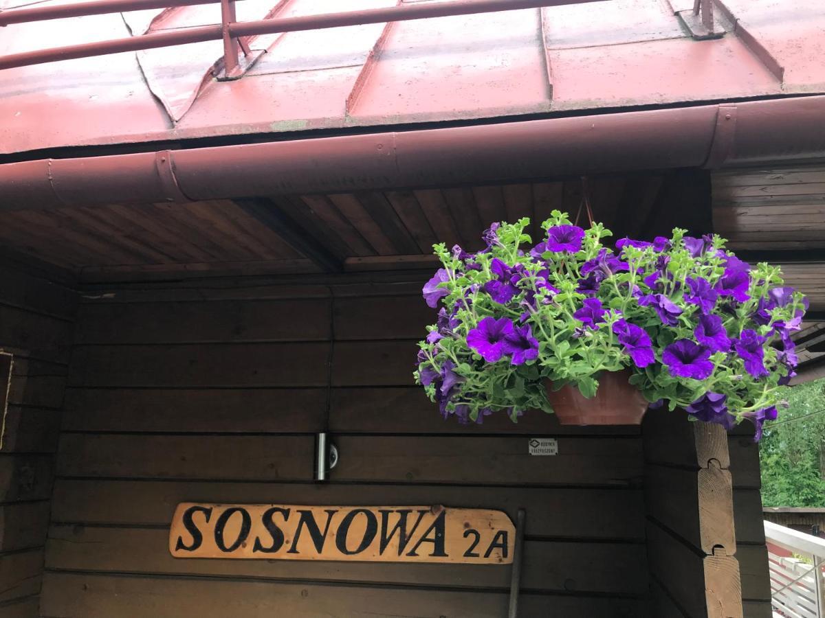 Вилла Sosnowy Zakatek Висла Экстерьер фото